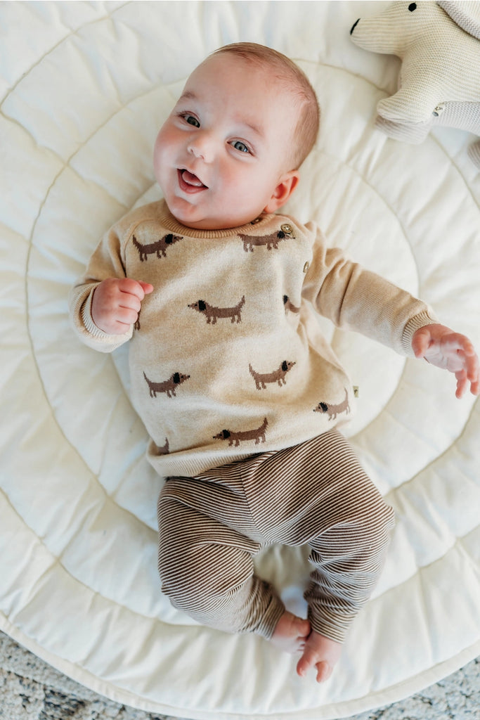 Doxie Dog Pullover Sweater