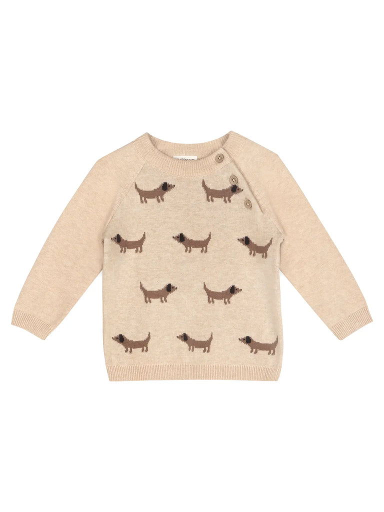 Doxie Dog Pullover Sweater