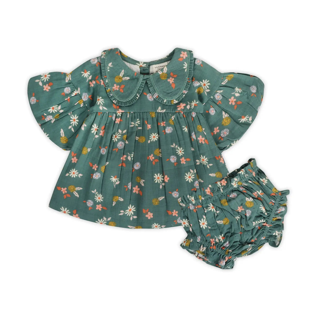 Winter Floral Baby Dress & Bloomers
