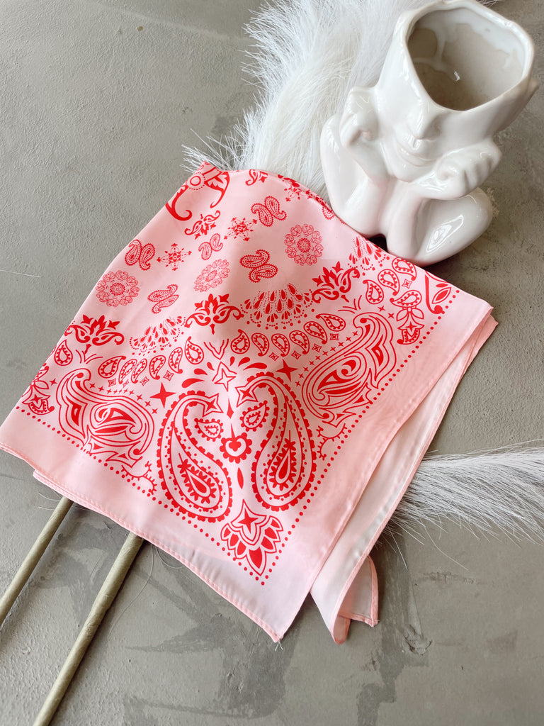 Paisley Pink & Red Print Silk Scarf