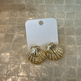 Shell Shape Earrings