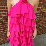 Roses are Pink Dress